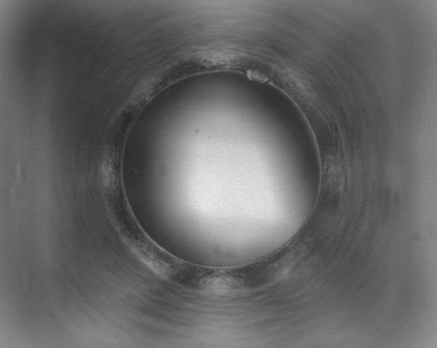 X0000073870408200608101515