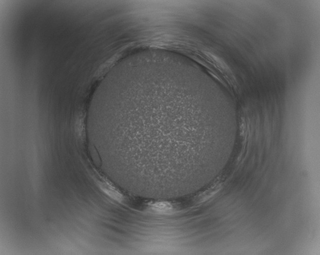 X0000073870409200608101515