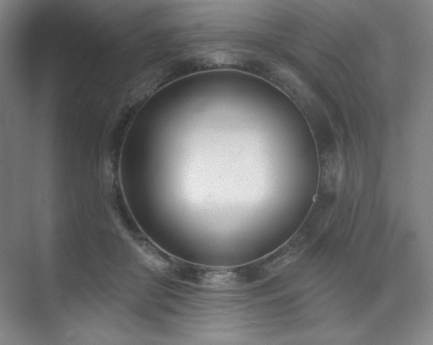 X0000073870410200608101515