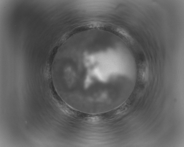 X0000073870411200608101515