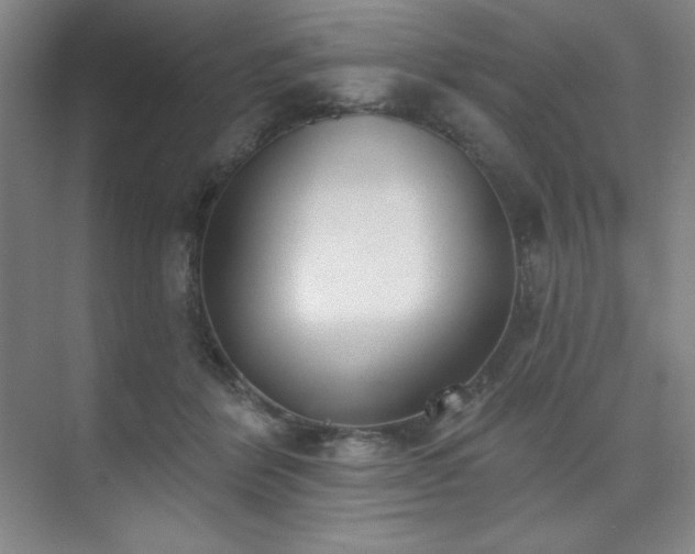 X0000073870412200608101515