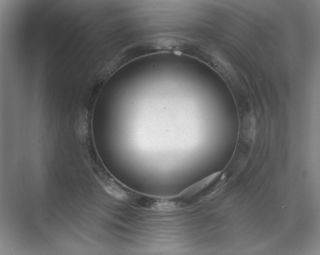 X0000073870413200608101515