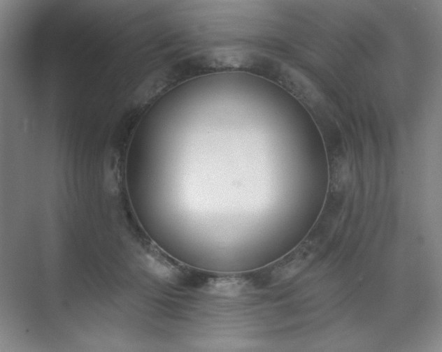 X0000073870414200608101515