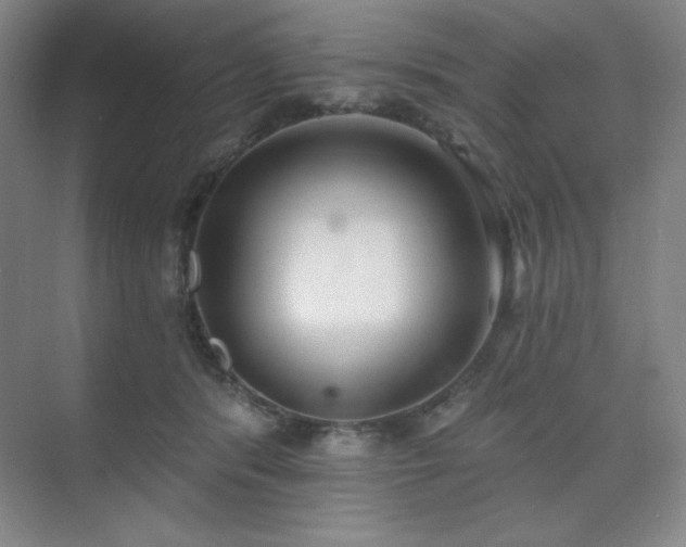 X0000073870416200608101515