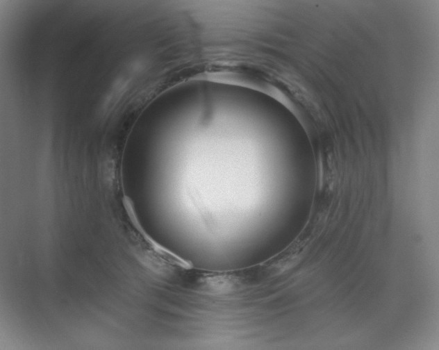 X0000073870417200608101515