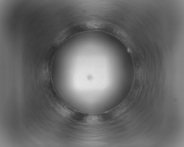 X0000073870418200608101515