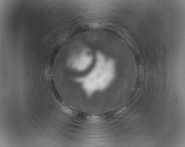 X0000073870419200608101515