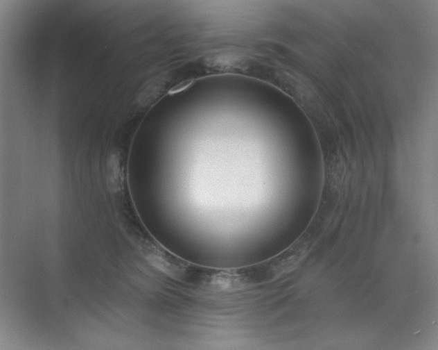 X0000073870420200608101515