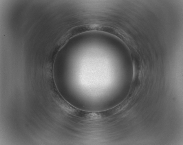 X0000073870421200608101514