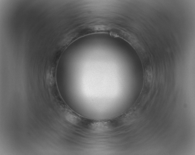 X0000073870422200608101514