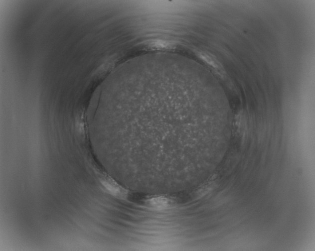 X0000073870423200608101514