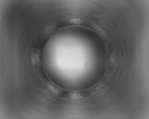 X0000073870424200608101514