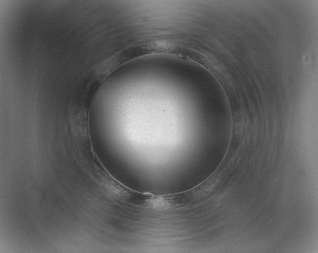 X0000073870425200608101514