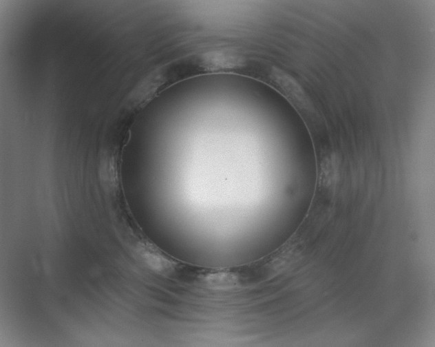 X0000073870426200608101514