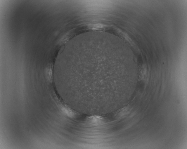 X0000073870427200608101514