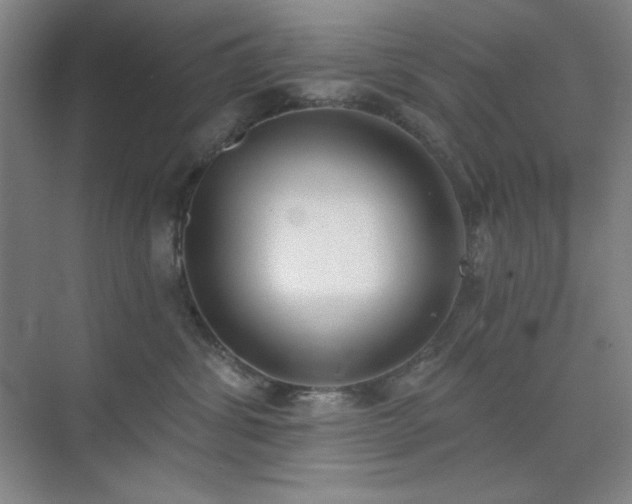 X0000073870428200608101514