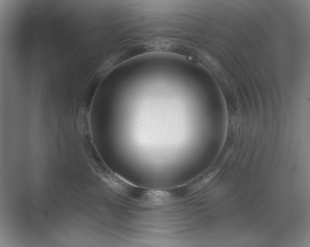 X0000073870429200608101514