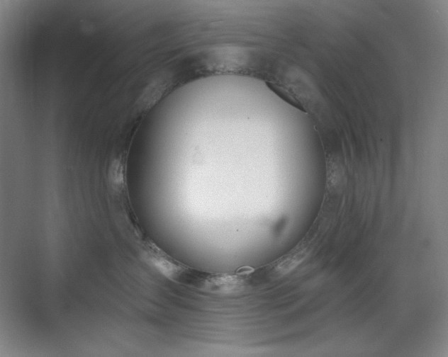 X0000073870431200608101514