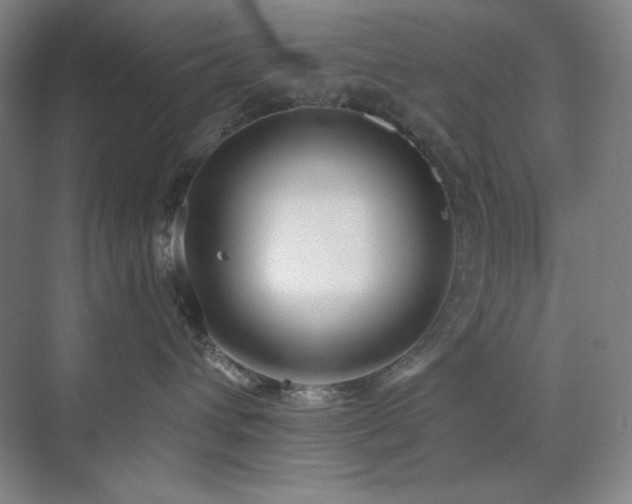 X0000073870432200608101514