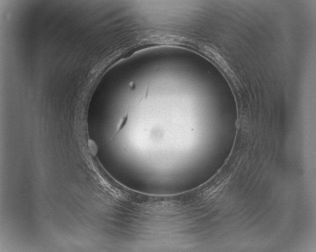 X0000073870433200608101513