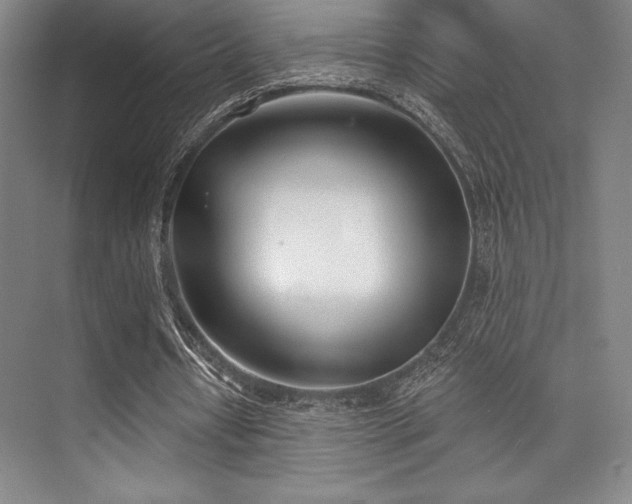 X0000073870434200608101514