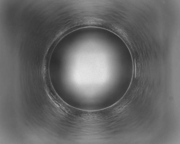 X0000073870435200608101514