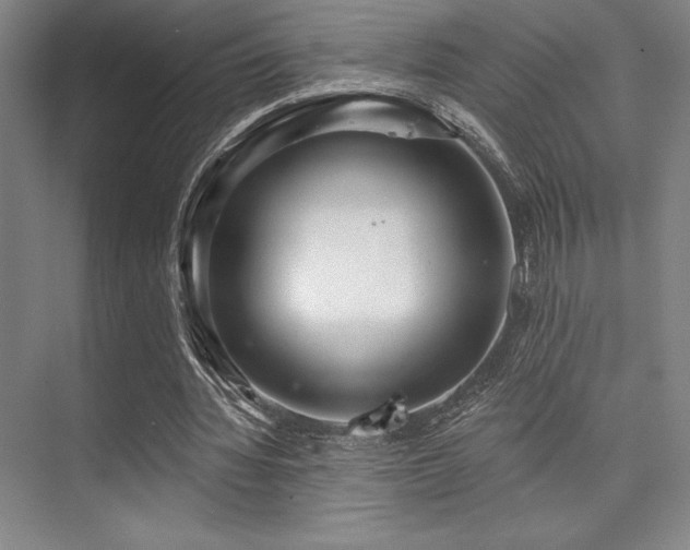 X0000073870436200608101514