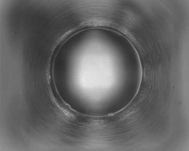 X0000073870438200608101514