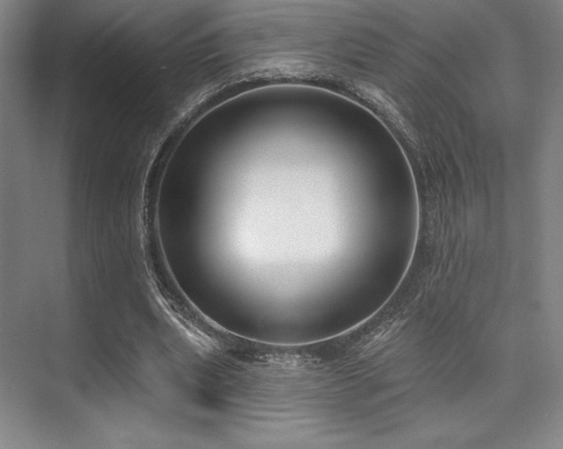 X0000073870439200608101514