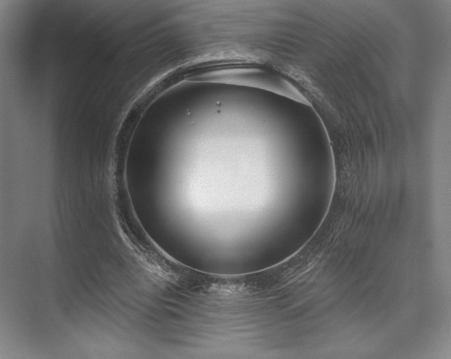 X0000073870440200608101514