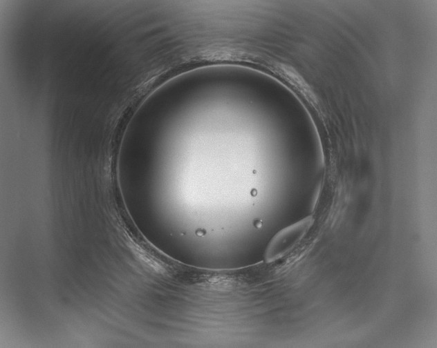 X0000073870441200608101514