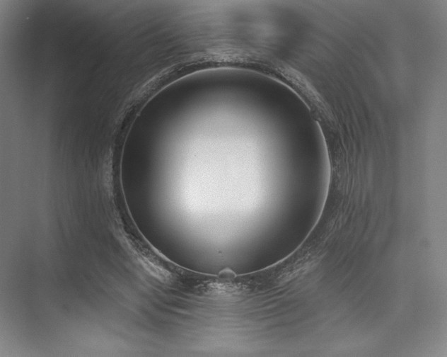 X0000073870442200608101514