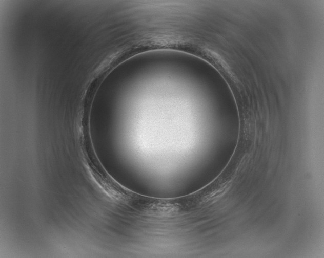 X0000073870443200608101514