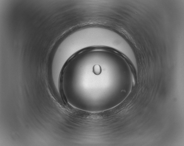 X0000073870444200608101514