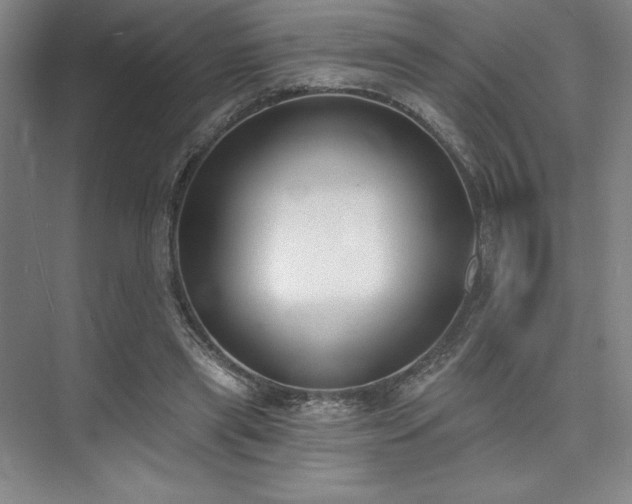 X0000073870445200608101514