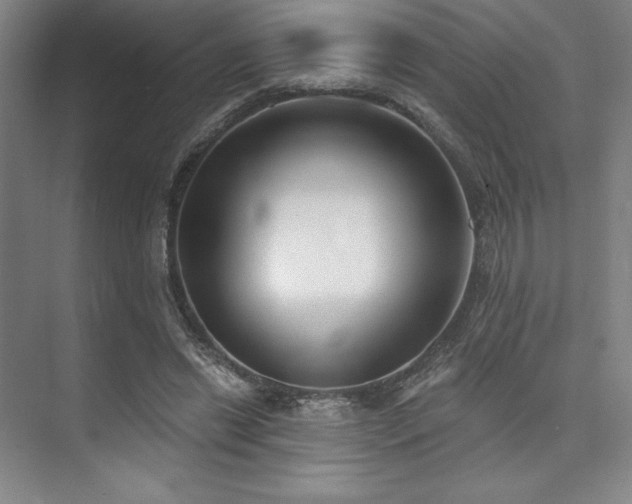 X0000073870446200608101514