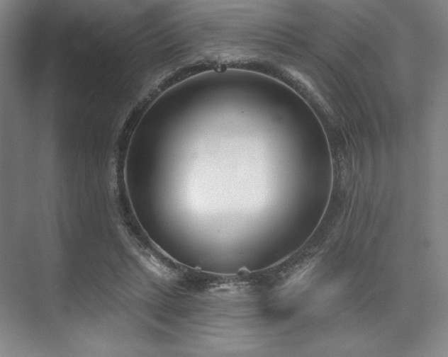 X0000073870447200608101514