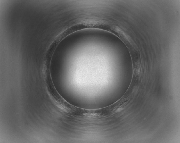 X0000073870448200608101514