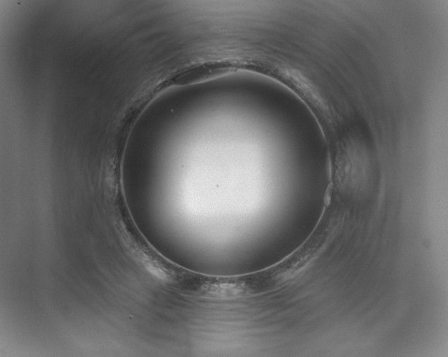 X0000073870449200608101514