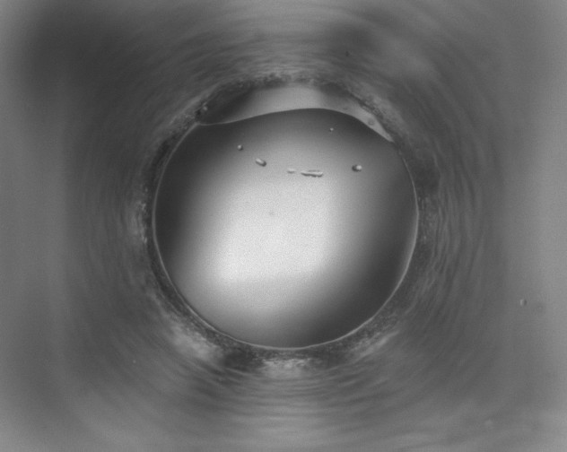 X0000073870450200608101514