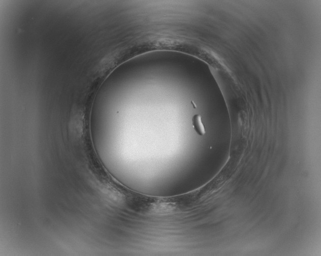 X0000073870451200608101514