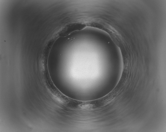 X0000073870452200608101514