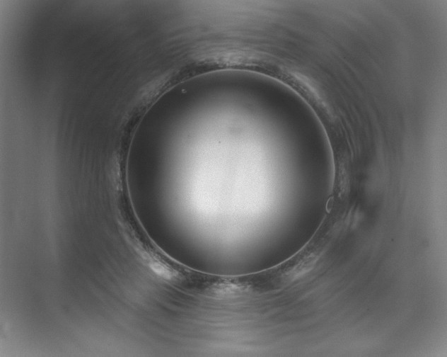 X0000073870453200608101514