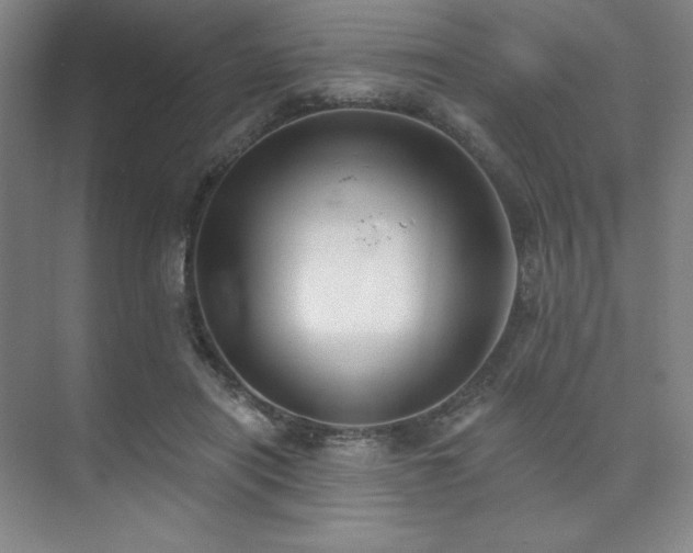 X0000073870454200608101514