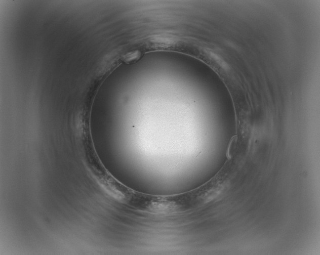 X0000073870455200608101514