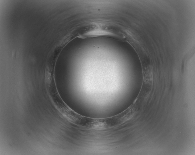 X0000073870456200608101514