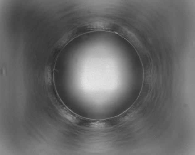 X0000073870457200608101514