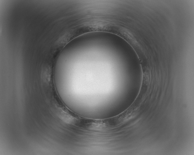 X0000073870458200608101514