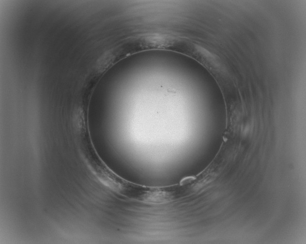 X0000073870459200608101514