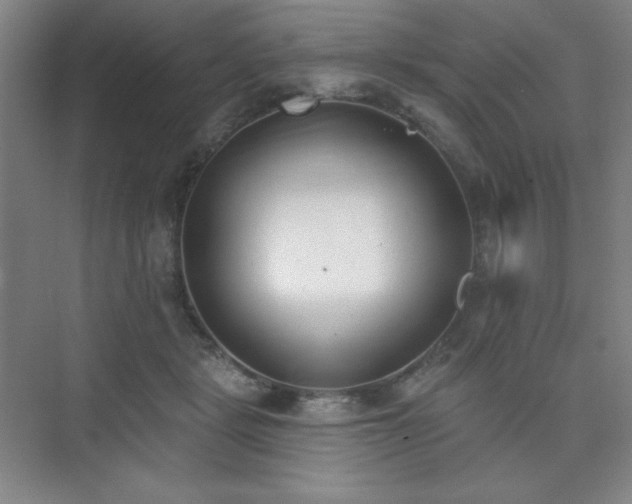 X0000073870461200608101514